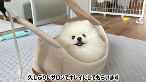 テロップ「久しぶりに~」