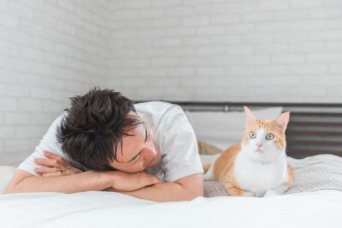 寝室でくつろぐ猫と飼い主