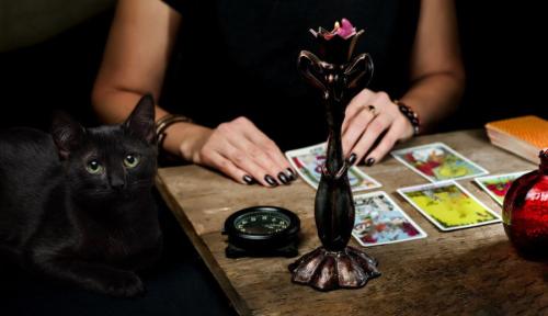 占い師と黒猫