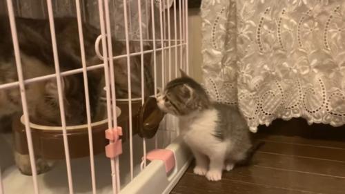 顔を寄せて