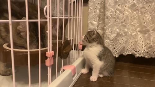 見上げて