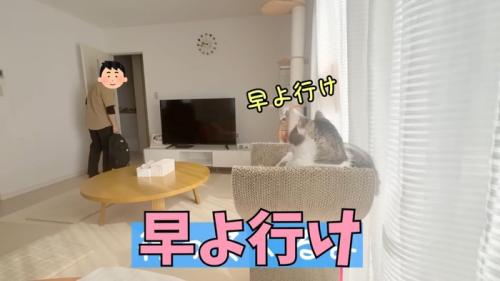早よ行け