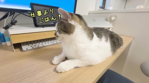 仕事よりごはん！