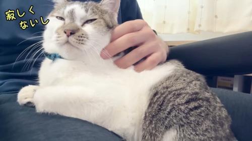 寂しくないし