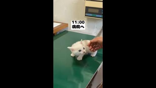 病院へ