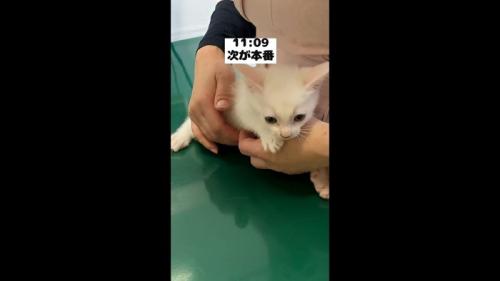次が本番