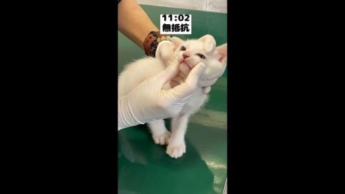 無抵抗