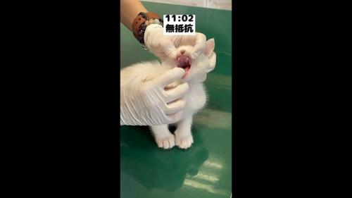 口を開けて