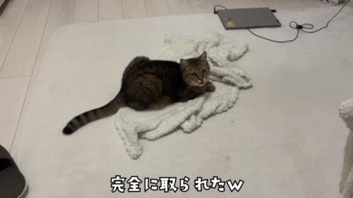 「完全に取られたw」のテロップ写真