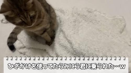 「ひざかけを使ってたら...」のテロップ写真