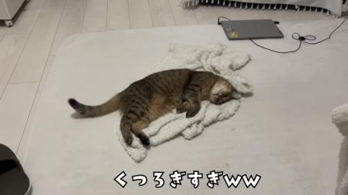 「くつろぎすぎww」のテロップ写真