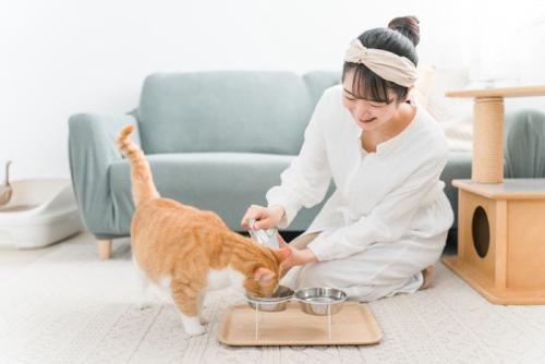 食事する猫と見守る女性