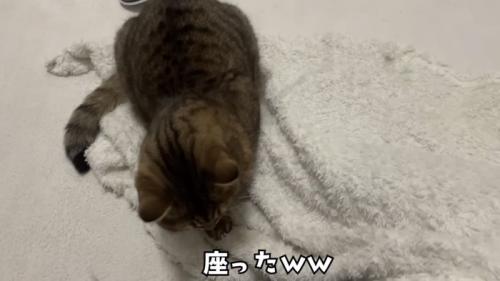 「座ったww」のテロップ写真