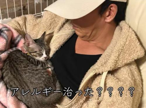 お父さんにくっついて眠る猫