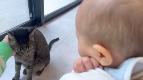 撫でられるももまるちゃん