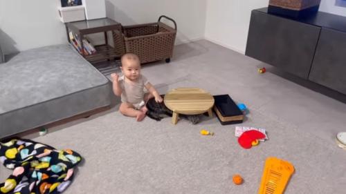 隠れるももまるちゃん