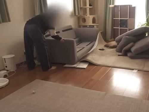 ソファを動かす人