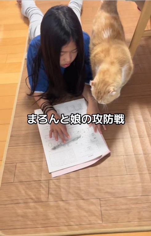 カメラに頭を向けて寝そべる子どもの隣に立っている猫