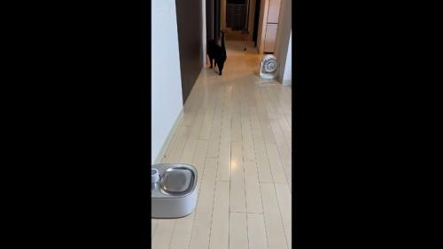 停止した後ろ姿