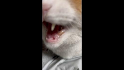 口元のアップ