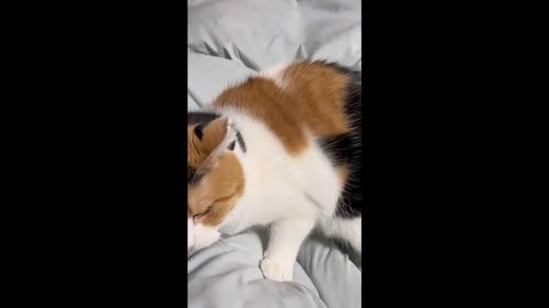 前を向いて