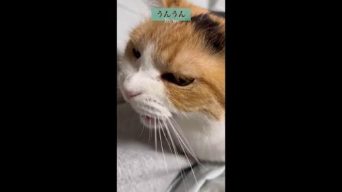 うんうん