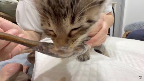 おかゆにおぼれそうな写真