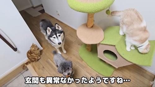 テロップ「玄関も異常~」