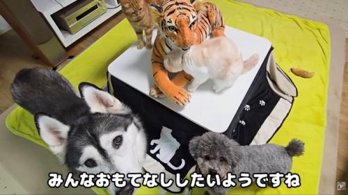 テロップ「みんなおもてなし~」