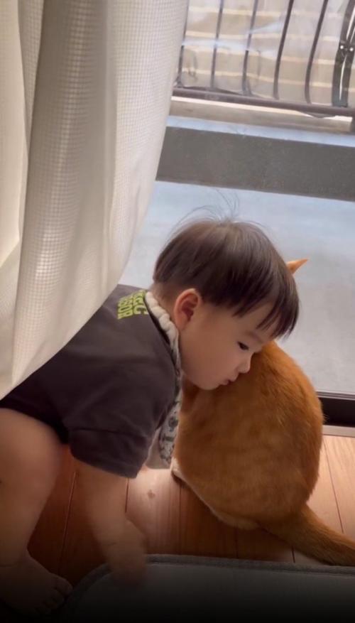 猫に頬をつける赤ちゃん
