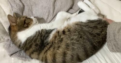 満足そうなミックくん