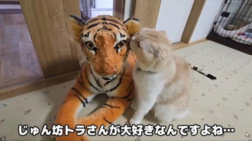 テロップ「じゅん坊~」