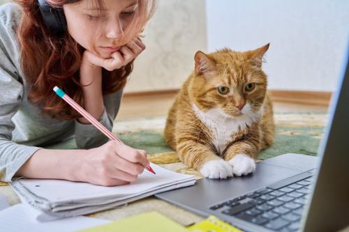 学生の横でパソコンを見る猫