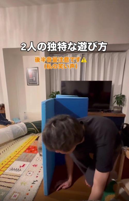 遊んでいる猫とパパさん