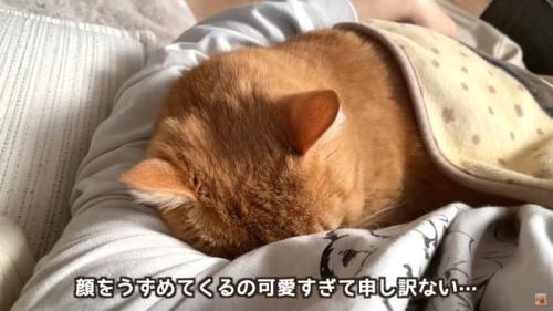 テロップ「顔をうずめてくるの～」