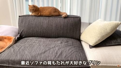 テロップ「最近ソファの～」