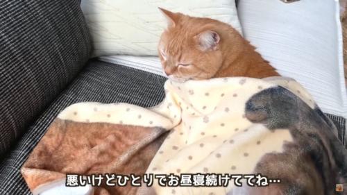 テロップ「悪いけどひとりで～」