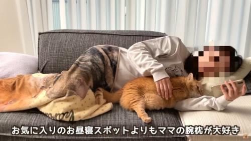 テロップ「お気に入りの～」