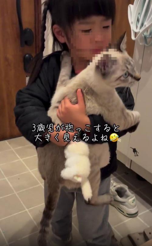 猫を抱っこする女の子