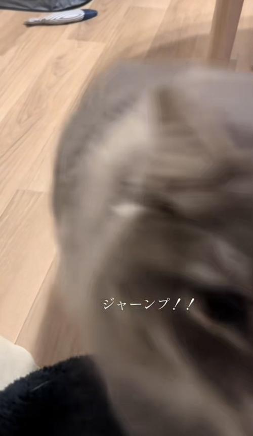 「ジャーンプ!!」のテロップ写真