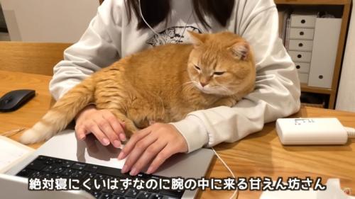 テロップ「絶対寝にくいはずなのに～」