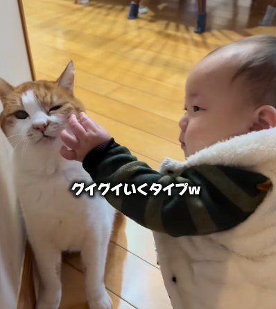 左手で猫の髭を触ろうとする赤ちゃん（グイグイいくタイプｗ）