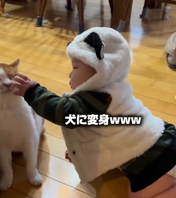 フードをかぶった赤ちゃんが左手で猫の顔を触る（犬に変身ｗｗｗ）