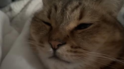 目を細めて