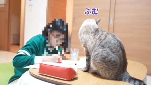 ふむ