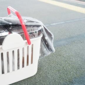 猫を『新幹線』に乗せるときに注意すべきこと4つ 乗車規定や費用、守るべきマナーまで