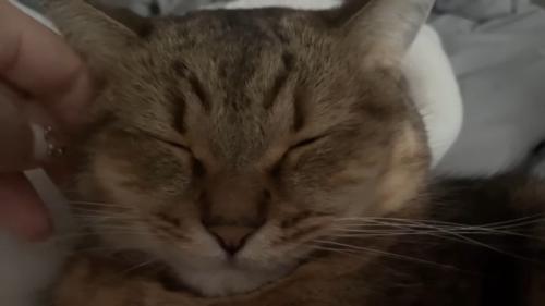 正面からドアップ
