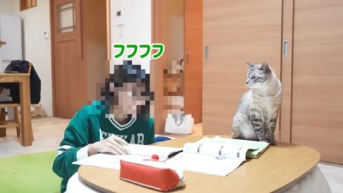 フフフフ