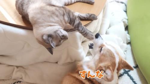 すんな
