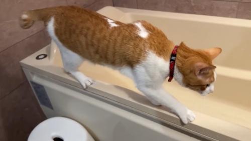 フチを歩いて